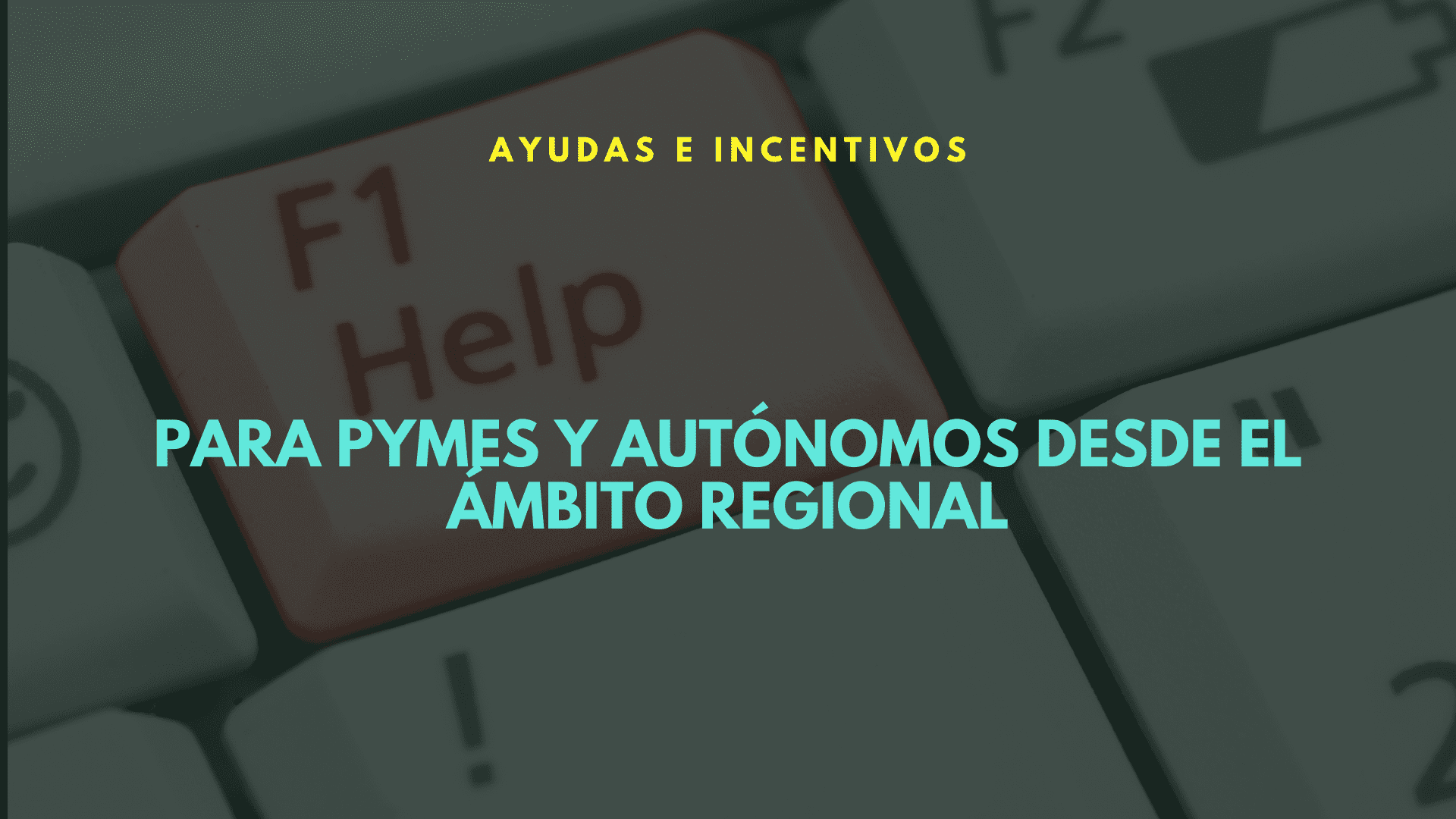 Medidas de apoyo a las personas trabajadoras por cuenta propia o autónomas