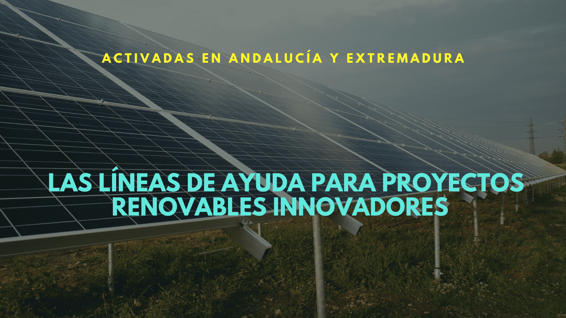 Activadas las líneas de ayuda para proyectos renovables innovadores con 136 millones de euros en Andalucía