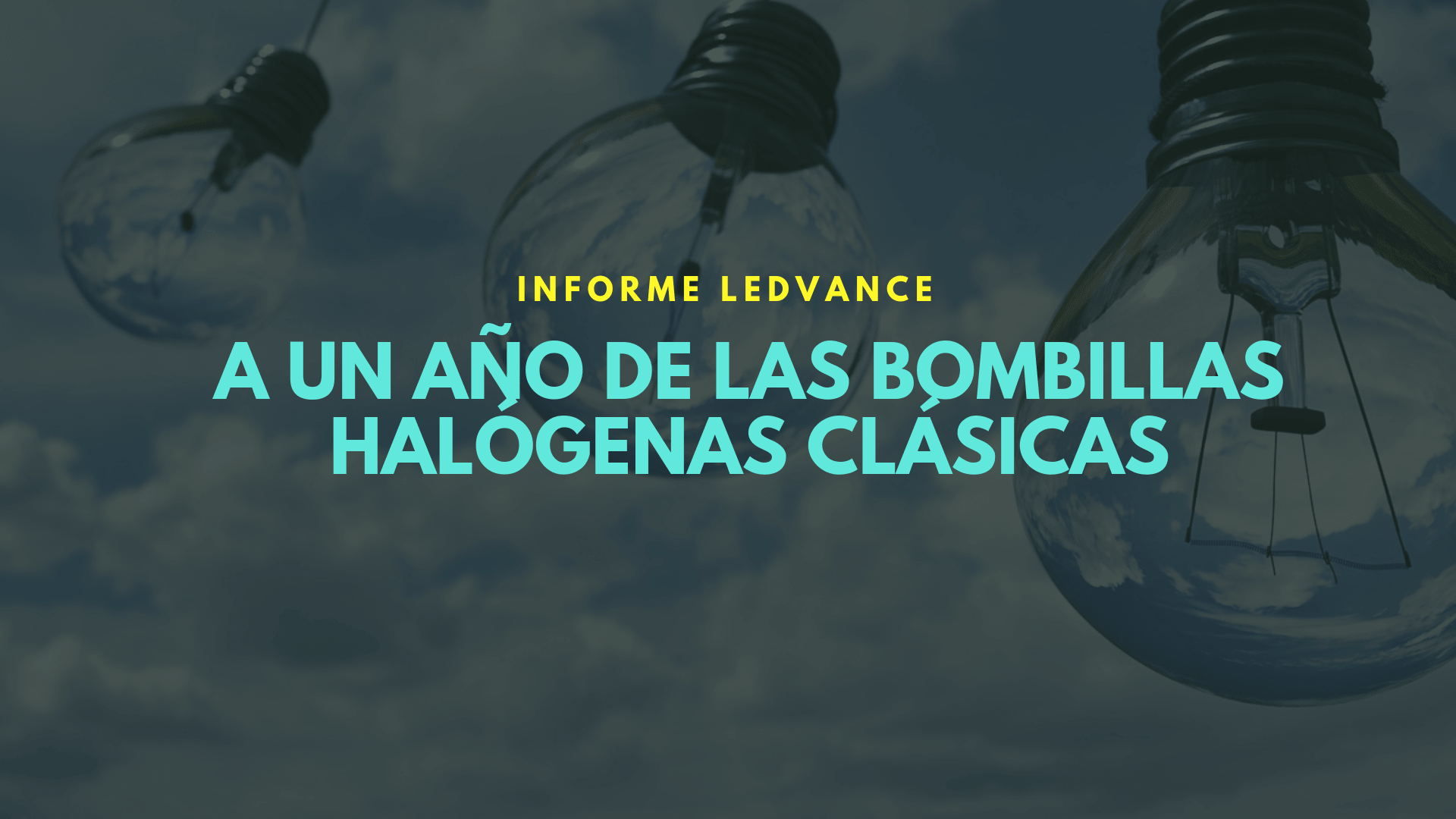 El fin de las bombillas halógenas un año después